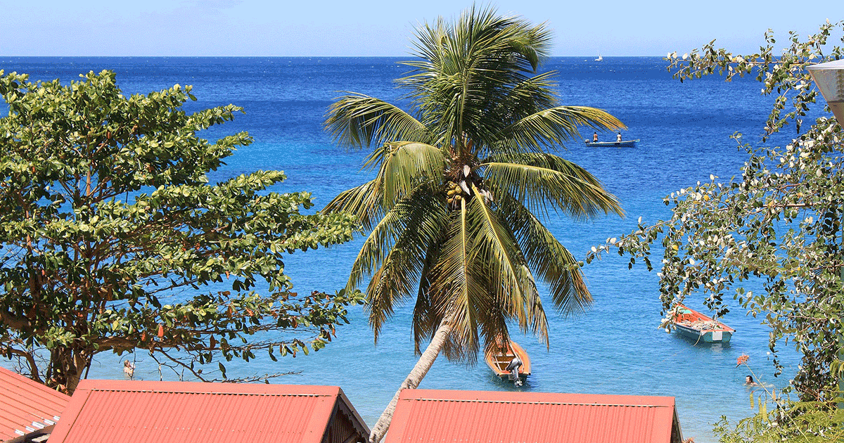 Plaquego Direction La Martinique Plaque Go