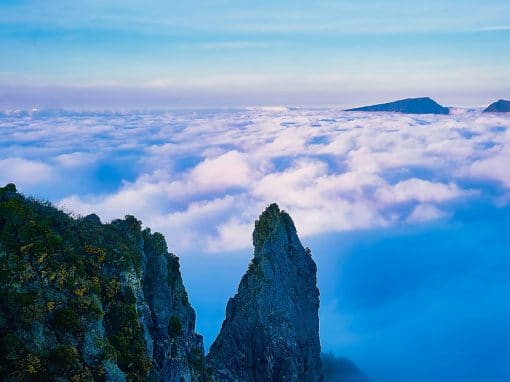 Paysage de l'île de la réunion